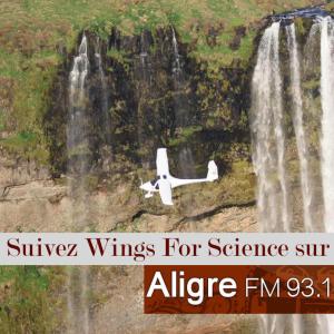 Wings-Aligre-4